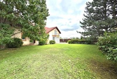 Individual villa with swimming pool Iancu Nicolae - 6