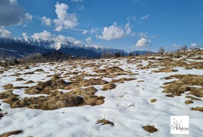 Teren De Vanzare In Sirnea - 29