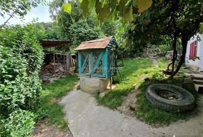 Bocsa, Casa Cocheta de Vacanta cu Teren. - 11