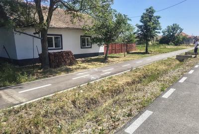Casă cu Teren 1500 Mp în Tormac - 3