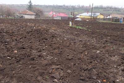 Teren de 1800 mp, în Bogdana - 1