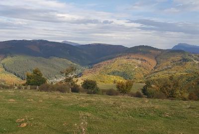 Teren extravilan de 10000 mp, în Valea Mare-Pravăț - 10