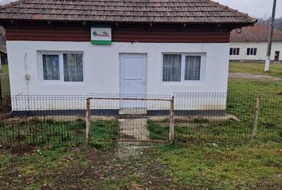 Spațiu comercial, de 120 mp, în Alimpești - 4