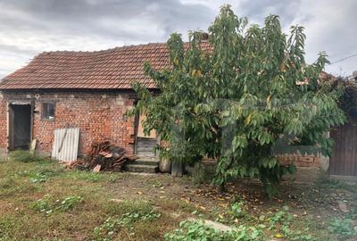 Casa Odoreu , Judetul Satu Mare - 2