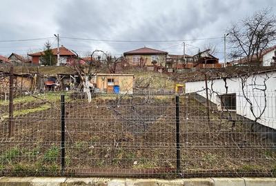 Teren 484mp Medias / Strada Negoiu - 6