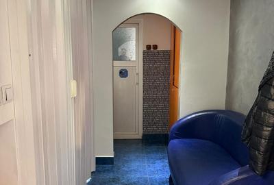 Spațiu comercial, de 51 mp, în Brazda lui Novac - 1