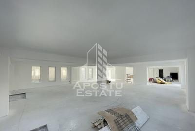 Spațiu comercial, de 120 mp, în Lipovei - 1