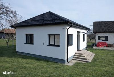 Casă cu 3 camere cu Teren 3242 Mp în Dănicei - 7