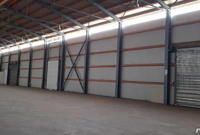 Spațiu comercial, de 1,800 mp, în Tunari - 4