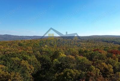 TEREN INTRAVILAN IN PADURE LA VARBILA - PRAHOVA COMISION 0% - 3