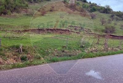 Teren Construcții de 4780 mp, în Vadu Izei - 7