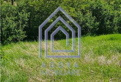 Spațiu comercial, în Drăgușeni