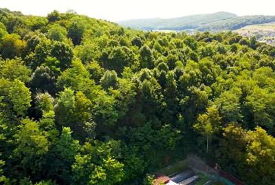 Casă individuală cu 4 camere cu Teren 830 Mp în Exterior Est - 17