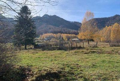 Teren de 1000 mp, în Bran - 3