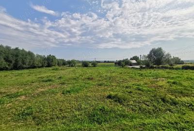 Vand casa in Va?cau?i, Siret, Suceava - 9