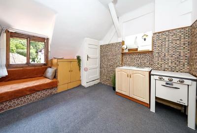 Zona Centrala Structura Generoasa - 31