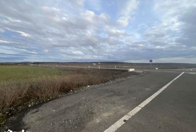 Teren de 7481 mp, în Sânmartin - 6