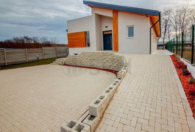Casa de Snagov Tancabesti - 5