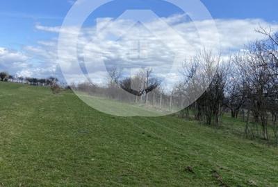 Teren agricol extravilan de 1494 mp, în Rășinari - 2