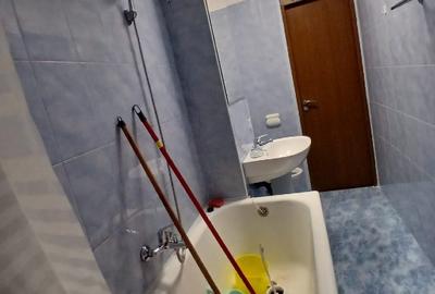 Garsoniera Brancoveanu Budimex - 4