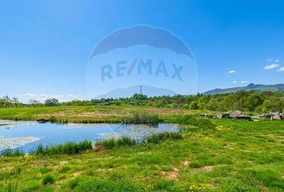 Casă cu 4 camere în Mara - 5