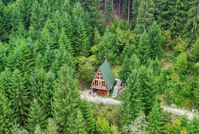 Casă cu 3 camere în Horea - 1