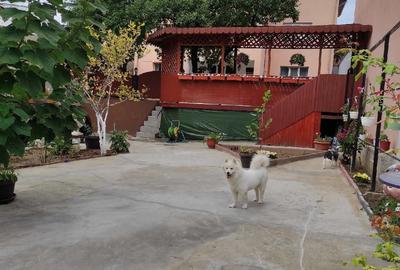 Casa individuala + teren  563mp, zona Dristor - 13