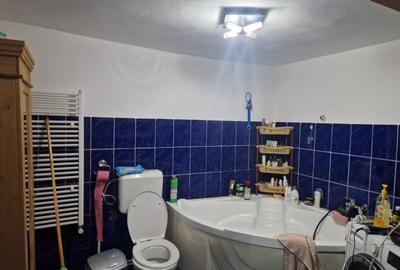 Agenție imobiliară vindem caaa la sol în Lumina - 7