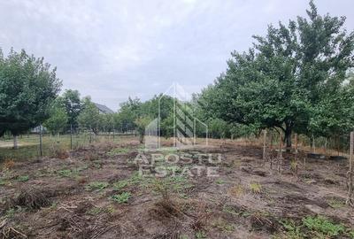 Casa individuala, curte generoasa, centrala proprie, sat ... - 12