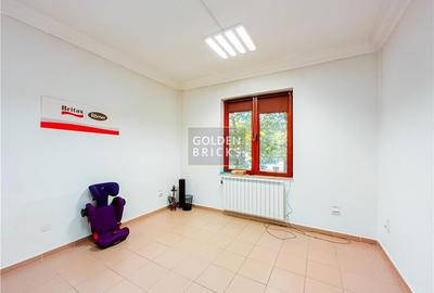 Aviatiei | Promenada | curte spatioasa | 4 camere | Acces auto | Garaj - 10