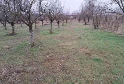 Spațiu comercial, în Siliștea - 4