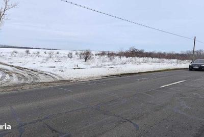 Teren de 2500 mp, în Frumușani - 6