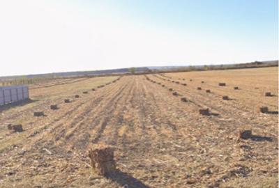 Teren intravilan 4036 mp Prahova, Mane?ti, Zalhanaua - 2