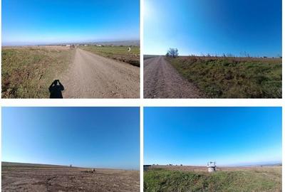 Teren de 7088 mp, în Havârna - 15