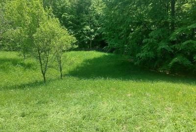 Teren de 7200 mp, în Secăria - 1