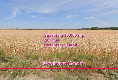 Teren Construcții intravilan de 10000 mp, în Corbeanca - 2