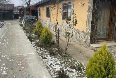 Casă cu Teren 1400 Mp în Costache Negri - 6