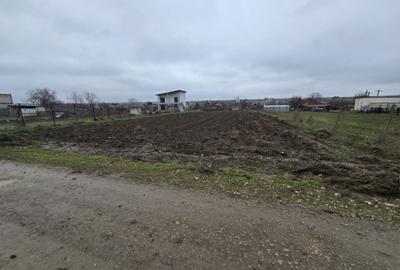 Spațiu comercial, în Corbu - 4