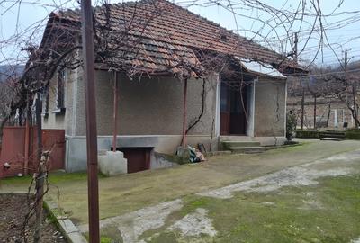 Casă cu 4 camere în Topleț - 4