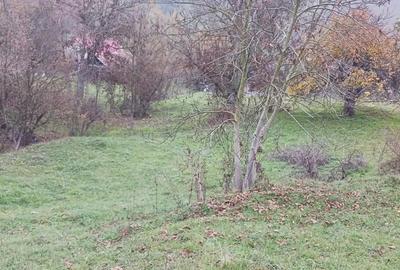 Teren de 7800 mp, în Sântejude - 3