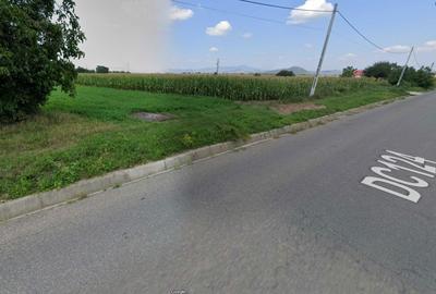 Teren de 5000 mp, în Răcăuți - 4