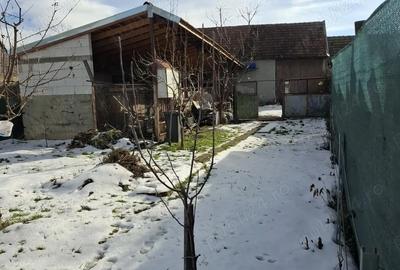 Casă în Vadu Crișului - 8