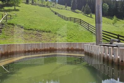 Casă cu 5 camere cu Teren 2908 Mp în Central - 9