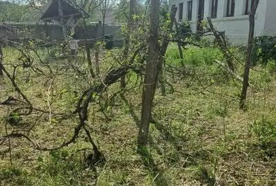 Vand teren ?i casa batraneasca Vand teren ?i casa batraneasca - 2