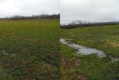 Teren de 833 mp, în Stolnici - 4