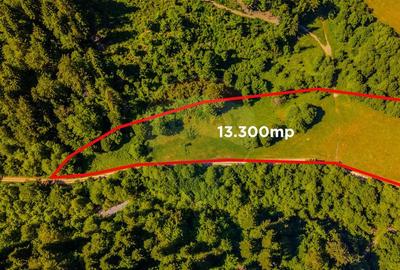 COMISION 0% Teren Bradet 7300 + 6000 mp/ Sacele /Intravilan - 1