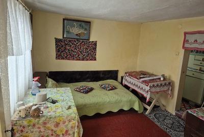 Casă cu 2 camere în Valea Părului - 5