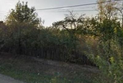 Casă cu 4 camere cu Teren 4426 Mp în Pitulați - 1