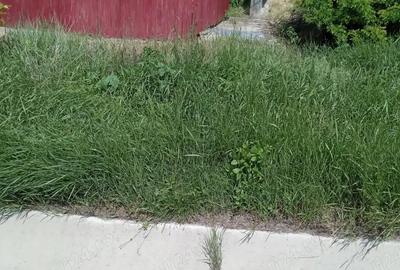 Teren de 1300 mp, în Muntenii de Jos - 6