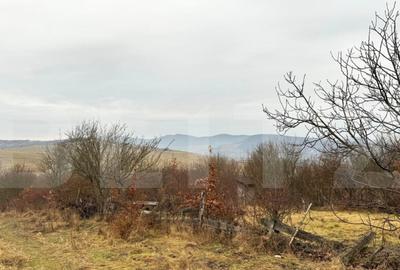 Teren de 2900 mp, în Central - 8